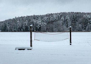 Ağaçlar ve ağaç dalları yoğun karla kaplı, kış günü, kumsal karla kaplı, kış günü