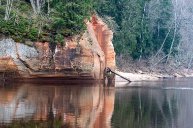 Nehir kıyısında kumtaşı kayalıkları, kumlu nehir kıyısı, geçen yılın çimenleri, yeşilliksiz doğa, ilkbahar başlarında Erglu kayalıkları, Cesu ilçesi, Letonya