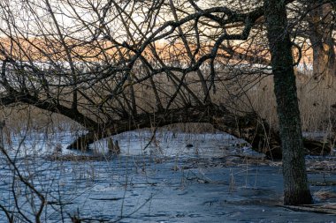Bahar sabahı, akşam, bataklık gölü kıyısı, göl kıyısında terk edilmiş tekneler, kışın sonları, doğanın ilk baharları.