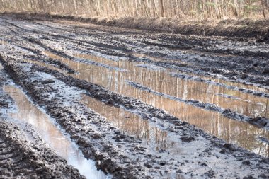 Bahar manzarası çamurlu bataklık, orman yolu, bahar, kirli ıslak yol dokusu, bahar