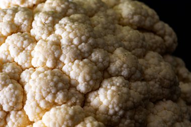 Lahananın yakın plan fotoğrafı, yaprakların ortasında dallanmış kızıllık, botanikte karnabahar, makro resim.