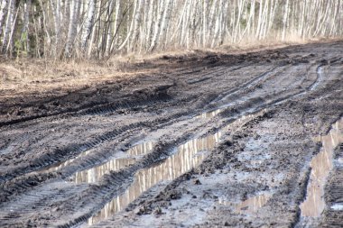 Bahar manzarası çamurlu bataklık, orman yolu, bahar, kirli ıslak yol dokusu, bahar