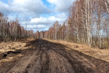 Bahar manzarası çamurlu bataklık, orman yolu, bahar, kirli ıslak yol dokusu, bahar