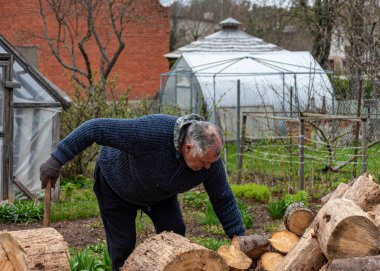 Bahçesinde baltayla çalışan bir adam kış mevsimi için yakacak odun, yakacak odun ve yakacak odun işliyor.