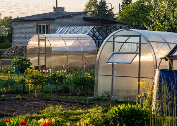 stock image landscape with film greenhouse, spring in the garden, gardener's concept, first spring greens and flowers