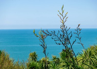 geniş arazi, gökyüzü, su, tepeler, Gürcistan, yaz