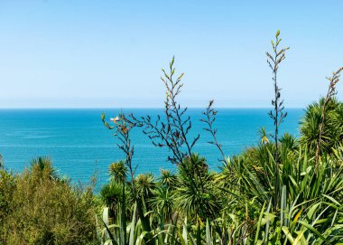 geniş arazi, gökyüzü, su, tepeler, Gürcistan, yaz
