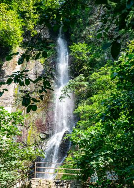 Küçük şelaleli manzara, yeşil ağaçlarla çevrili dağ şelalesi, Georgia, yaz.