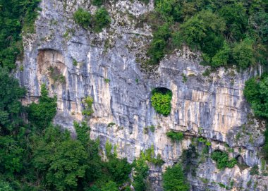 Tarihi bir binanın ön cephesi, tarihi bir nesne, yaz