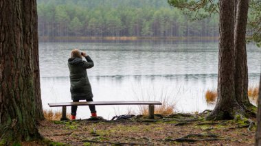 Bataklık gölü, orman ve bataklık bitkisinin kıyısındaki dürbünlerden bakan kadın, yağmurlu ve bulutlu bir sonbahar günü