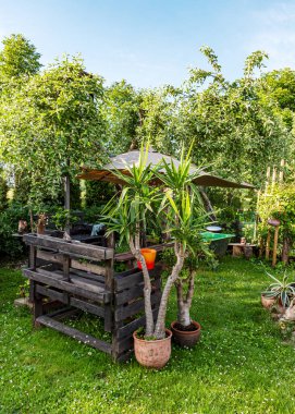 Yazın bahçeli manzara, dekoratif nesneler, bahçe ışıkları, yazın küçük bahçe, yazın doğa.