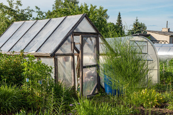 landscape with film greenhouse, gardener's concept, small garden in summer