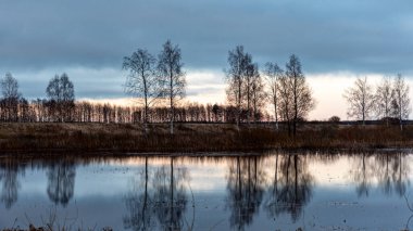 landscape with a flooded lake, dark silhouettes of trees in the backlight, reflections of trees in the water, spring landscape, Lake Burtnieku, Latvia clipart