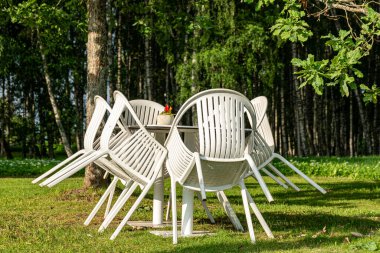 Bir huş ağacında dinlenme yeri, doğada dinlenme, beyaz plastik banklar ve masalar, yaz zamanı