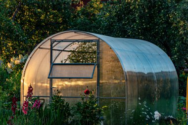 Gün batımında sera, bahçıvanın konsepti, evde sebze yetiştirme, yazın sera.