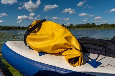 Güneşli bir yaz günü, nilüfer yapraklı manzara, kürek tahtasından manzara, Burtnieku Gölü, Letonya