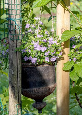 Yazın bahçeli manzara, dekoratif nesneler, bahçe ışıkları, yazın küçük bahçe, yazın doğa.