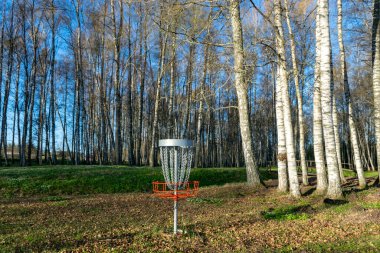 Arka planda huş ağacı olan yeşil çimlerin üzerinde bir disk golf deliği, parktaki bir disk golf sepeti, ilkbahar