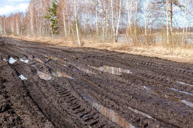 Bahar manzarası çamurlu bataklık, orman yolu, bahar, kirli ıslak yol dokusu, bahar