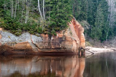 Nehir kıyısında kumtaşı kayalıkları, kumlu nehir kıyısı, geçen yılın çimenleri, yeşilliksiz doğa, ilkbahar başlarında Erglu kayalıkları, Cesu ilçesi, Letonya