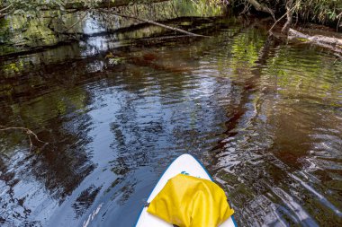 Renkli yaz manzarası, göldeki kürek tahtası, güzel göl bitkileri, kıyıdaki ağaçlar, yapraklar, yaz
