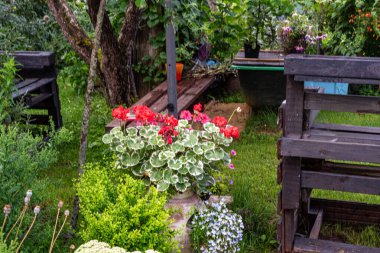 Bahçe dekorasyonu, bahçe dekorasyonu, ev dekorasyonu için çeşitli eşyalar, bahçıvanın konsepti, yaz mevsimi.