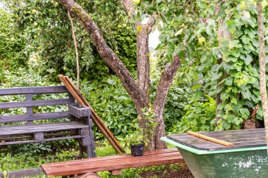 Bahçe dekorasyonu, bahçe dekorasyonu, ev dekorasyonu için çeşitli eşyalar, bahçıvanın konsepti, yaz mevsimi.