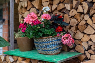 Bahçe dekorasyonu, bahçe dekorasyonu, ev dekorasyonu için çeşitli eşyalar, bahçıvanın konsepti, yaz mevsimi.