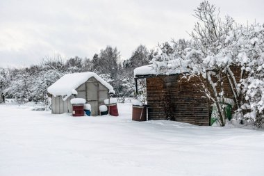 Kışın bahçe, karla kaplı, meyve ağaçları, bahçe evi ve bahçe aksesuarları, kışın küçük bahçe.