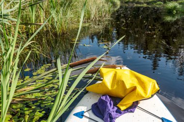Renkli yaz manzarası, göldeki kürek tahtası, güzel göl bitkileri, kıyıdaki ağaçlar, yapraklar, yaz