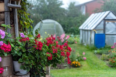 Bahçede serası olan bir manzara, bahçeyi süsleyen çeşitli güzel çiçekler, bahçıvanın konsepti, yaz mevsimi.