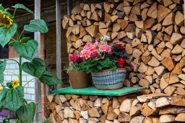 Bahçe dekorasyonu, bahçe dekorasyonu, ev dekorasyonu için çeşitli eşyalar, bahçıvanın konsepti, yaz mevsimi.