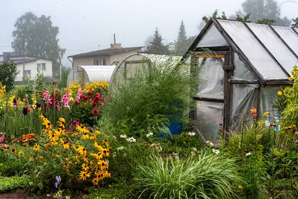 stock image landscape with a greenhouse in a small garden, various beautiful flowers decorate the garden, gardener's concept, summer