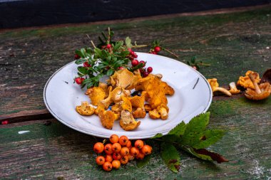 çeşitli vahşi bitkilerle, doğal ürünlerle, vahşi bitkilerin bileşimiyle, sonbaharda