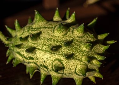 Close-up view of Kiwano fruit, Cucumis metuliferus, commonly called African Horned Cucumber, autumn harvest time clipart