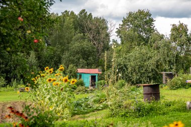 Bahçe dekorasyonu, bahçe dekorasyonu, ev dekorasyonu için çeşitli eşyalar, bahçıvanın konsepti, yaz mevsimi.