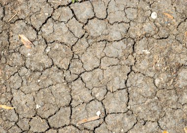 Çatlak toprak dokusu, soyut resim, arka plan için uygun, yaz