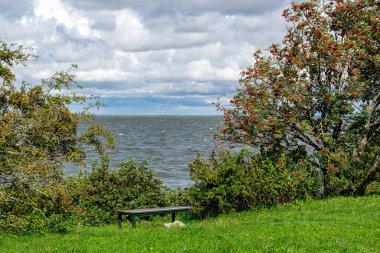 Deniz burnu, fırtına sırasında deniz, su sıçratan dalgalar ve hızlı hareket eden bulutlar Litvanya 'daki Curonian Tükürüğü yakınlarında, sonbaharda
