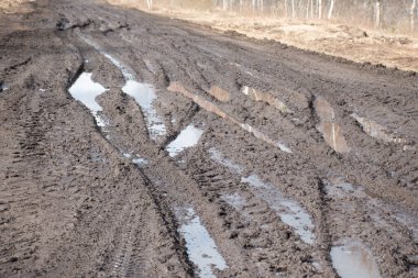 Bahar manzarası çamurlu bataklık, orman yolu, bahar, kirli ıslak yol dokusu, bahar