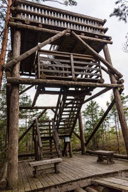 Bataklıktaki ahşap gözlem kulesi, geleneksel bataklık bitkisi, Nigula doğa rezervi tipik bir batı Estonya bataklığı, sonbahar