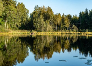 beautiful landscape with a small forest lake, pure lake in the evening light, calm summer evening clipart