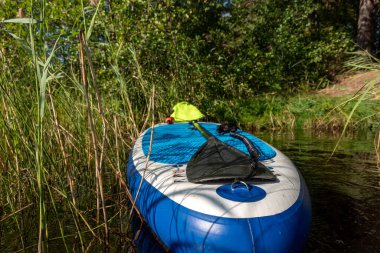 Gölü olan güzel bir yaz manzarası, gölde kürek tahtası, vahşi su bitkileri, yaz.