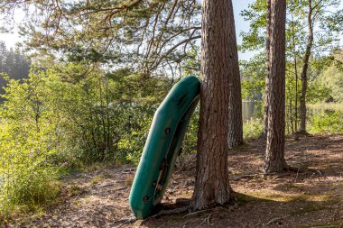 Gölü olan güzel bir yaz manzarası, gölün kıyısında yeşil lastik tekne, vahşi su bitkileri, yaz.