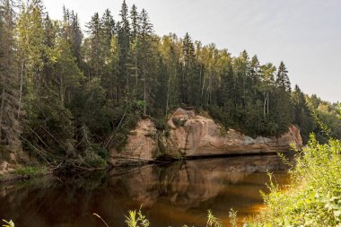 Nehir kıyısında kumtaşı kayaları olan güzel bir yaz manzarası, su yansımaları, Erglu kayalıkları, Gauja nehri, Letonya, yaz