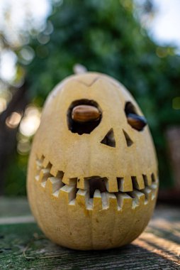 Cadılar Bayramı balkabağı kafası, Cadılar Bayramı için oyulmuş balkabağı, şeker mi şaka mı, bayram kutlaması özelliği, sonbahar