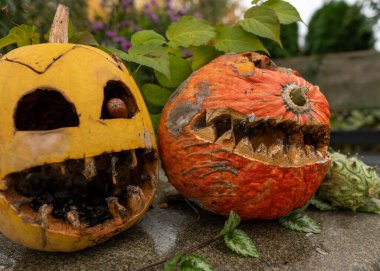 Bahçedeki eski Cadılar Bayramı balkabakları korkunç Jack O Lantern Cadılar Bayramı balkabakları, tatilden sonra çirkin balkabakları, Cadılar Bayramı