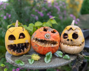 Bahçedeki eski Cadılar Bayramı balkabakları korkunç Jack O Lantern Cadılar Bayramı balkabakları, tatilden sonra çirkin balkabakları, Cadılar Bayramı