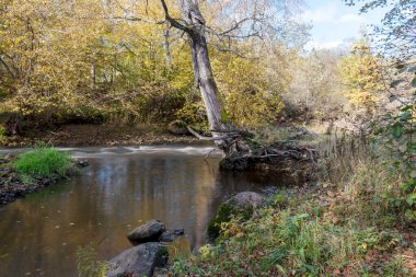 Taşlar arasındaki hızlı nehir, su akıntısı taşı geçer, nehirdeki ekoloji, arka plan olarak güzel doğal ortam, bulanık su akıntısı, Vizla nehri, Letonya