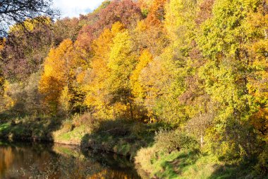 gorgeous autumn landscape with bright and colorful trees, typical Latvian golden autumn landscape, Gaujiena, Latvia clipart