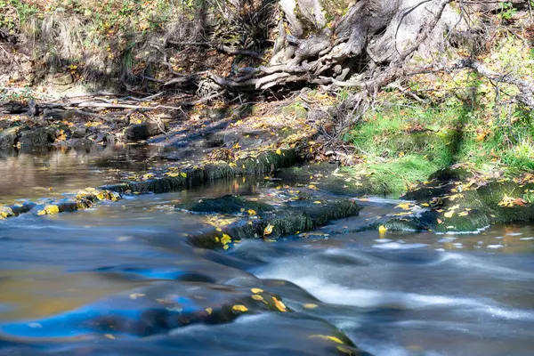 Taşlar arasındaki hızlı nehir, su akıntısı taşı geçer, nehirdeki ekoloji, arka plan olarak güzel doğal ortam, bulanık su akıntısı, Vizla nehri, Letonya
